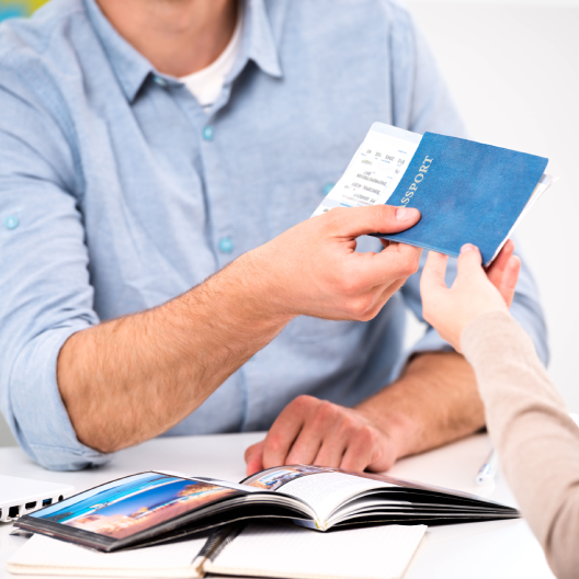 Travel Curation & Visa Consulting